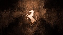 crest horse Animals texture