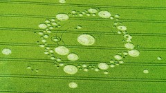 Crop Circles birdview