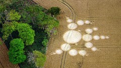 Crop Circles birdview