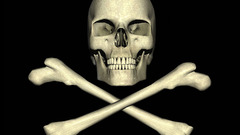 Crossbones skulls graphic artwork