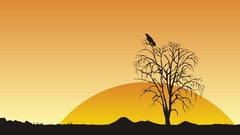 Crow sunset nature