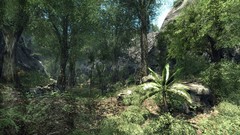 Crysis