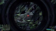 Crysis Frogs