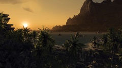 Crysis Islands palm trees