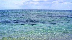 Crystal Clear-Black sea Beach
