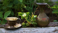 Cups pitcher artwork