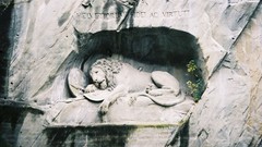 Curious statues Lions nature