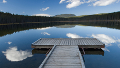 Current one stole from