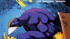 Custom front The animated Maxx bcdcovers