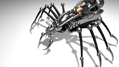 Cyber spider insect