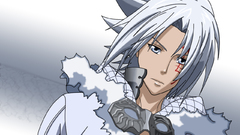 D gray-man