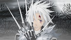 D gray-man