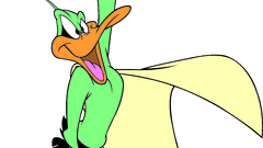Daffy duck bird