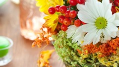 Daisies Flowers glass bouquet Candles glasses Daisy colors