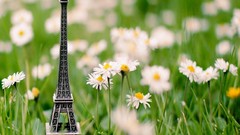 Daisies Flowers grass Eiffel Tower white flowers miniature 