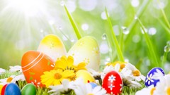 Daisies Flowers grass spring rain drops Easter Eggs