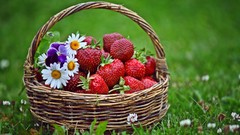 Daisies Flowers nature grass strawberries fruits baskets