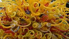 Dale chihuly