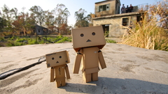Danboard