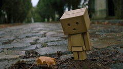 Danboard