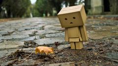 Danboard