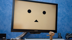 Danboard