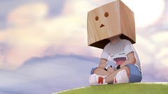 Danboard
