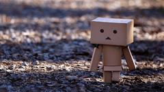 Danboard