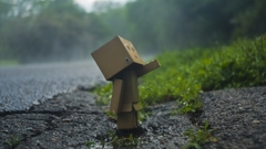 Danboard