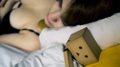 Danboard