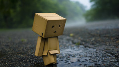 Danboard