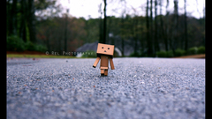 Danboard