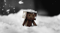 Danboard
