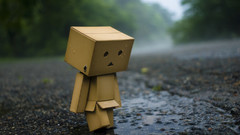 Danboard