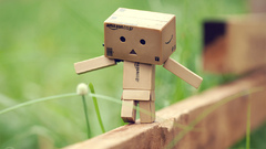 Danboard