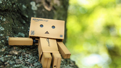 Danboard