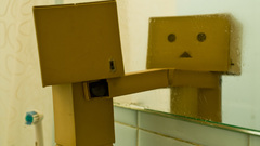 Danboard