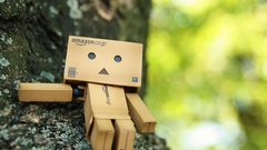 Danboard