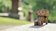 Danboard