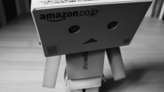 Danboard amazon FILSRU Japan