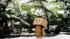Danboard artwork