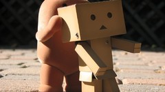 Danboard artwork