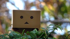 Danboard artwork