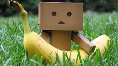 Danboard bananas