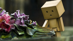 Danboard depth of field