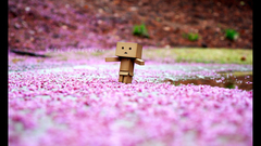 Danboard depth of field