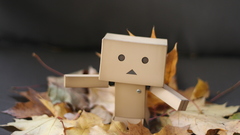 Danboard fallen leaves