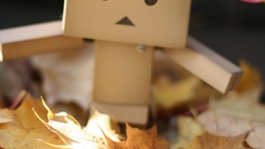 Danboard fallen leaves