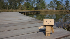 Danboard figurines
