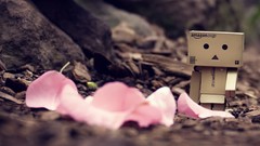 Danboard flower petals